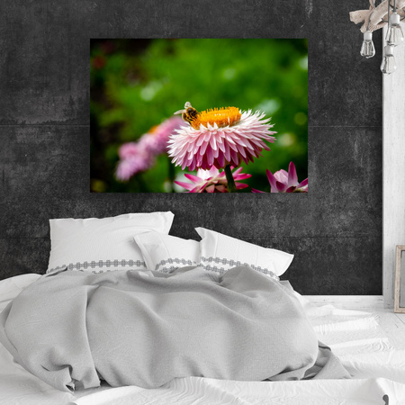 Leinwandgemälde Botanik Biene auf einem Gänseblümchen 40x30 cm