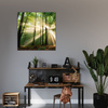 Leinwandgemälde Sonne im Wald Bäume Natur 80X80 cm