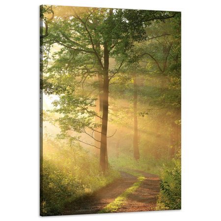 Leinwandgemälde Sonnenlicht Waldweg Natur 60x90 cm