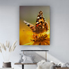 Leinwandgemälde Tiere Schmetterling auf einer Blume 80x100