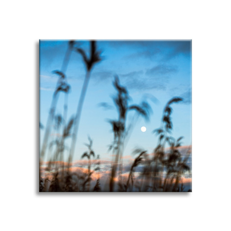 Bild auf Leinwand Nature Glade Meadow Sunrise 90x90
