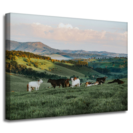 Bild auf Leinwand Nature Pasture_2 40x30 cm