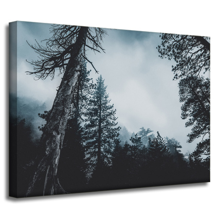 Leinwandgemälde Natur Baumkronen 40x30 cm