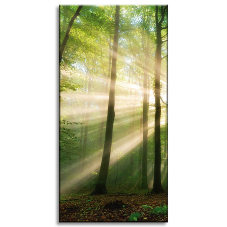 Leinwandgemälde Sonne im Wald Bäume Natur 40x80 cm