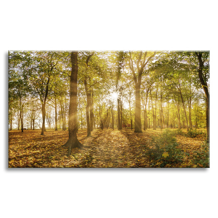 Leinwandgemälde Sonne zwischen Bäumen im Wald 70x50 cm