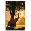 Leinwandgemälde Posierender Elefant Savannah Sunset 80x120 cm