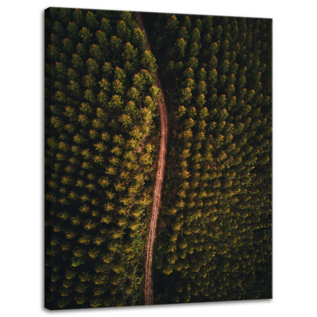 Leinwandgemälde Naturstraße aus der Vogelperspektive 30x40 cm