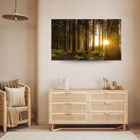 Leinwandgemälde Sonnenuntergang Wald Bäume Natur 120x80 cm