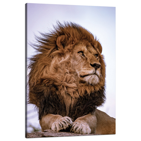 Leinwanddruck Löwenmähnenkopf, Wildness 80x120 cm