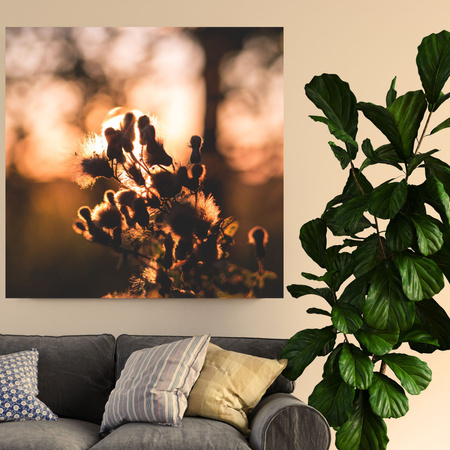 Leinwandgemälde Botanischer Morgen 40x40 cm