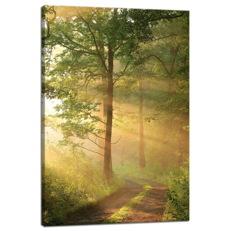 Leinwandgemälde Sonnenlicht Waldweg Natur 40x60 cm