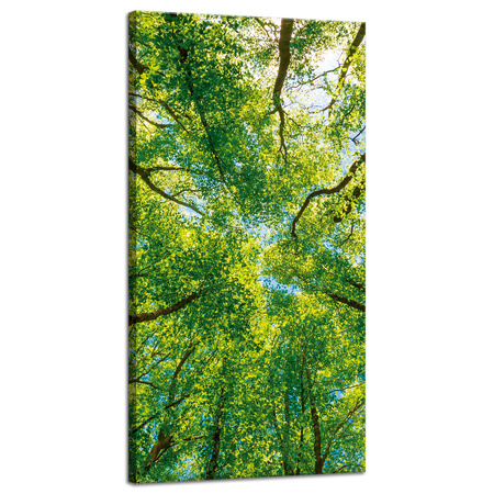 Leinwandgemälde Bäume Blätter Natur Wald Frühling 40x80 cm