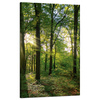 Leinwanddruck Sonne, Wald, Bäume, Lichtstrahlen, 50x80 cm