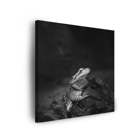 Leinwandgemälde Eidechse Reptil Schwarz und Weiß Natur 90x90