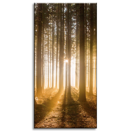 Leinwandgemälde Sonne im Wald Baumlicht 60x120 cm