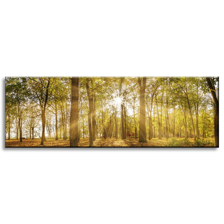 Leinwandgemälde Sonne zwischen Bäumen im Wald 120x40 cm