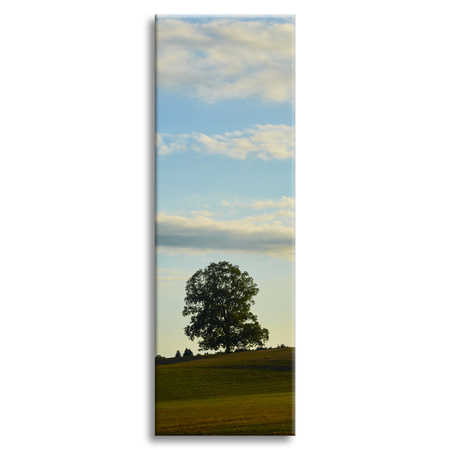 Leinwandgemälde Naturbaum in einem Feld 40x120 cm