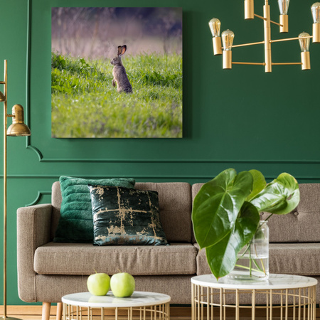 Leinwandgemälde Tiere Hase 40x40 cm