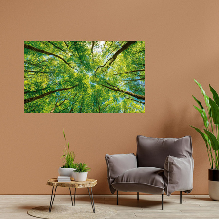 Leinwandgemälde Bäume Blätter Natur Wald Frühling 70x50 cm