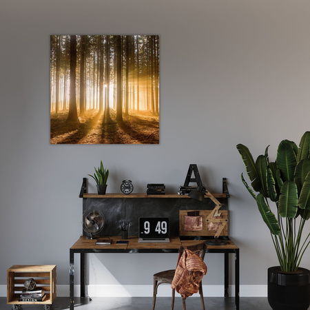 Leinwandgemälde Sonne im Wald Baumlicht 90X90 cm