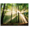 Leinwandgemälde Sonne im Wald Bäume Natur 100x80 cm