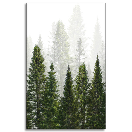 Leinwandgemälde Regenwald Natur Bäume 50x80 cm